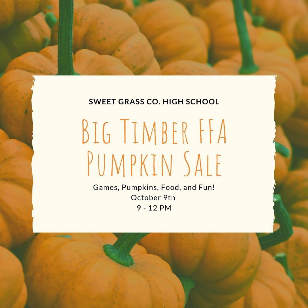 Pumpkin Patch Flyer